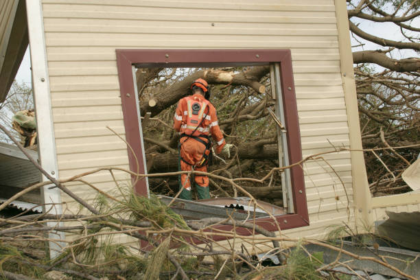 Professional Tree Care Services in Lester Prairie, MN